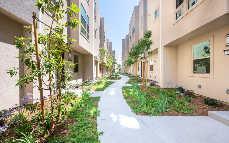 sidewalk between buildings